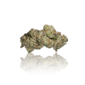 Exotic Flower