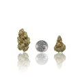 Premium Flower