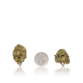 Bulk Budget