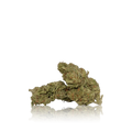Budget Flower