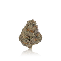 Premium Flower