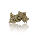 Exotic Flower
