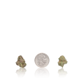 Bulk Premium Smalls