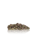 Exotic Smalls