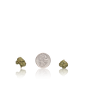 Premium Smalls