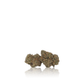 Premium Flower