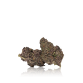 Bulk Premium