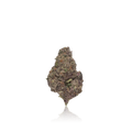 Bulk Premium