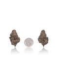 Bulk Premium