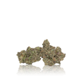 Bulk Premium