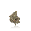 Bulk Premium