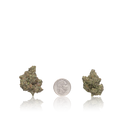 Bulk Premium