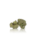 Bulk Premium