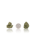Bulk Premium