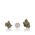 Bulk Premium