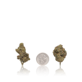 Bulk Value