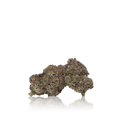 Exotic Flower