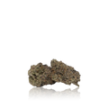 Exotic Flower