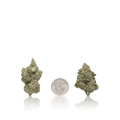 Premium Flower