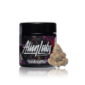 Premium Indoor Flower