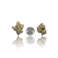 Exotic Flower