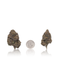 Premium Flower