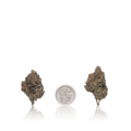 Premium Flower