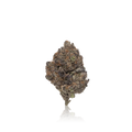 Premium Flower