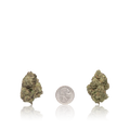 Premium Flower