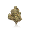 Exotic Flower