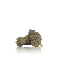 Premium Flower