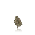 Premium Flower