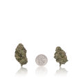 Premium Flower