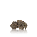 Premium Flower