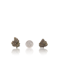 Premium Flower