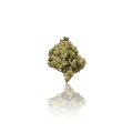 Premium Indoor Flower