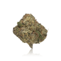 Premium Indoor Flower