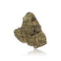Premium Indoor Flower