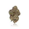 Premium Indoor Flower