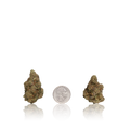 Bulk Premium