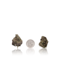 Bulk Exotic