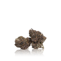 Bulk Exotic
