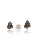Bulk Exotic