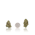 Value Flower