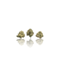 Exotic Smalls