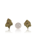 Bulk Budget