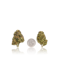 Bulk Budget