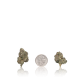 Bulk Premium