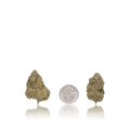 Bulk Premium