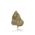 Bulk Premium
